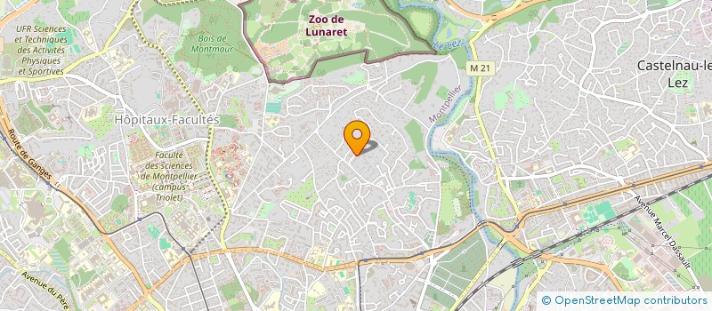 localisation de l'entreprise MADAME SARAH VINCENT  MONTPELLIER