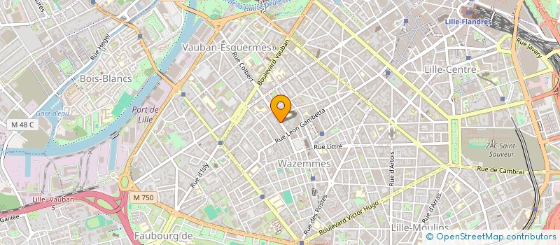 localisation de l'entreprise MADAME SASHA DUVIC à LILLE