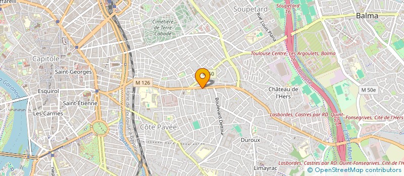 localisation de l'entreprise MADAME SASKIA VAN DER MEERSCHEN à TOULOUSE
