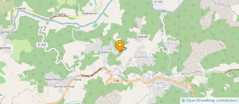 localisation de l'entreprise MADAME SAVERIA LETHEUILLE à ECCICA-SUARELLA