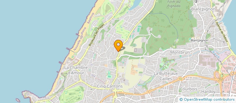 localisation de l'entreprise MADAME SAVINA EL-BOUR  ANGLET