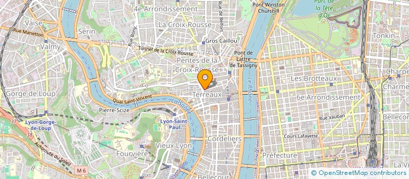 localisation de l'entreprise MADAME SAYAT TOPUZOGULLARI à LYON 1ER