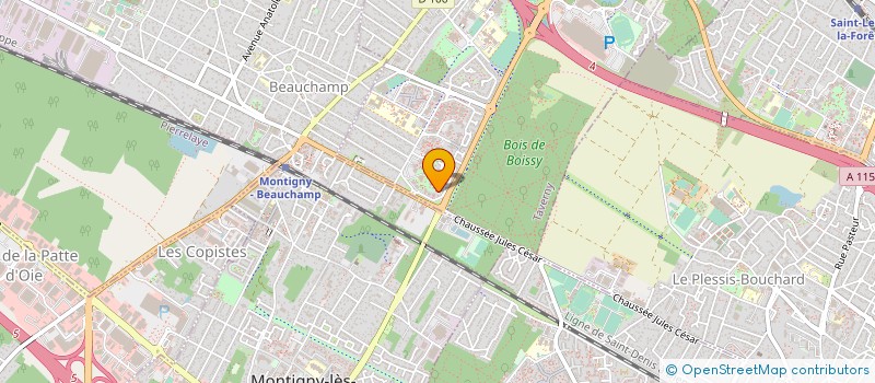 localisation de l'entreprise MADAME SAYEDEH ZAMAN  TAVERNY