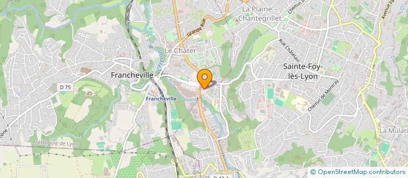 localisation de l'entreprise MADAME SAYFANA SAIVE  SAINTE-FOY-LES-LYON