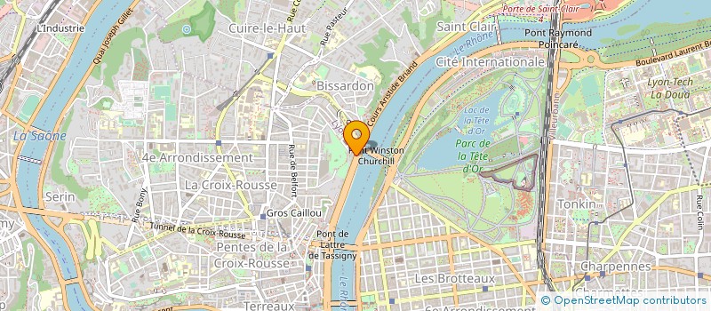 localisation de l'entreprise MADAME SEGOLENE AUDEMARD D'ALANCON à LYON