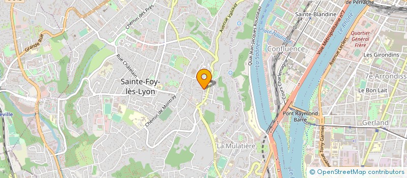 localisation de l'entreprise MADAME SEGOLENE DUCURTIL  SAINTE-FOY-LES-LYON