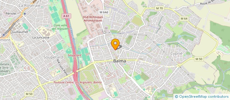 localisation de l'entreprise MADAME SEGOLENE HARTMANNS à BALMA