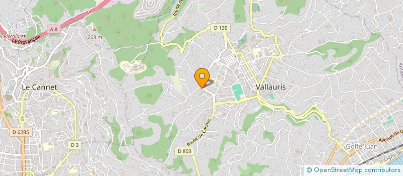 localisation de l'entreprise MADAME SEGOLENE JOURDAIN à VALLAURIS
