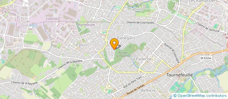 localisation de l'entreprise MADAME SELENA DUMONT  TOURNEFEUILLE