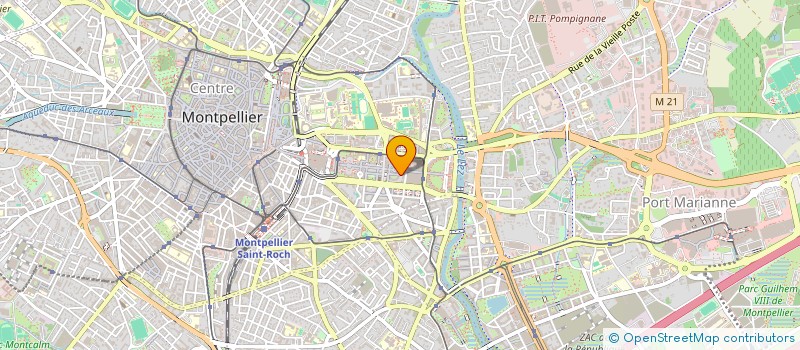 localisation de l'entreprise MADAME SELENA NIKOLIC à MONTPELLIER