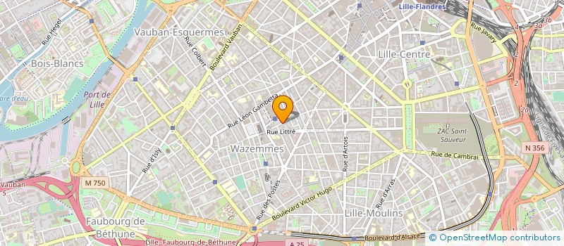 localisation de l'entreprise MADAME SELENE CIANCIONI à LILLE
