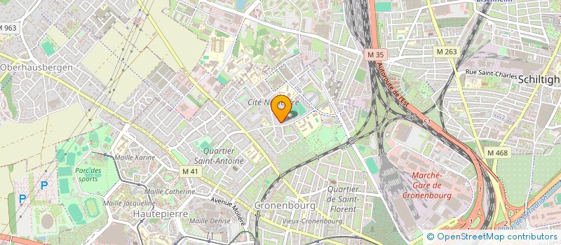 localisation de l'entreprise MADAME SELIA SETODZO à STRASBOURG