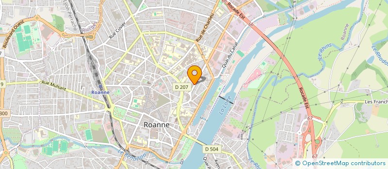 localisation de l'entreprise MADAME SELIN BOLAT à ROANNE