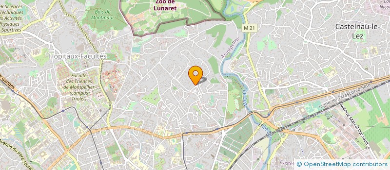 localisation de l'entreprise MADAME SELMA TOZANLI à MONTPELLIER
