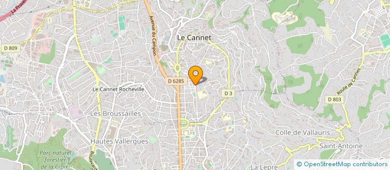 localisation de l'entreprise MADAME SELMA ZAMITI à LE CANNET