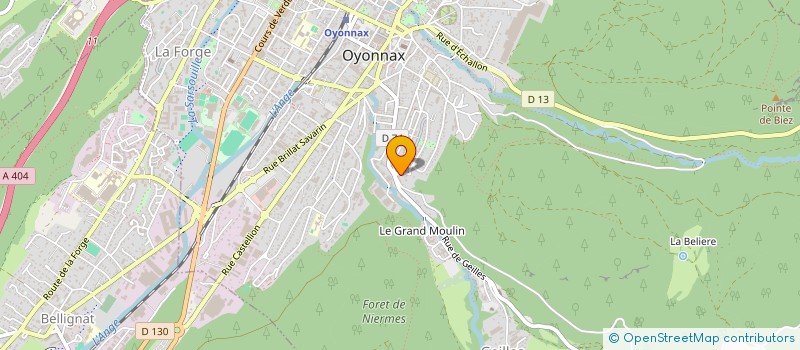 localisation de l'entreprise MADAME SELVICAN EREN à OYONNAX
