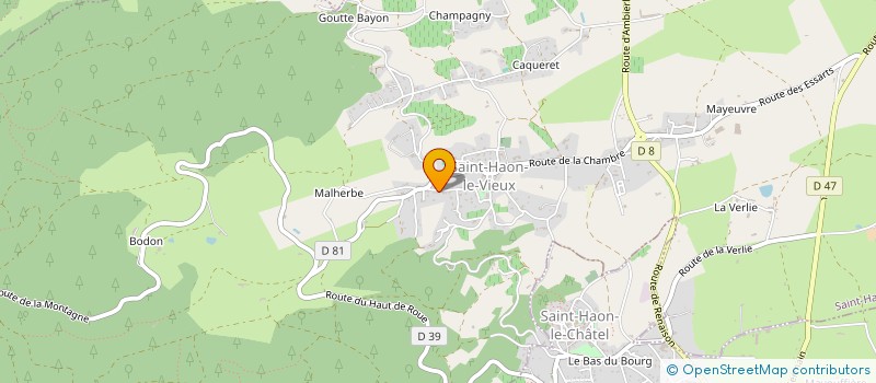 localisation de l'entreprise MADAME SELVIJE DJEMAJLJI  SAINT-HAON-LE-VIEUX