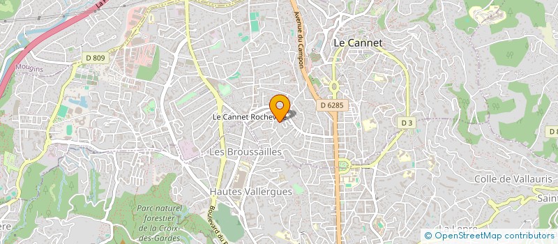 localisation de l'entreprise MADAME SERAPHINE LEVY à LE CANNET