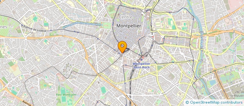 localisation de l'entreprise MADAME SERENA PALAZZI à MONTPELLIER