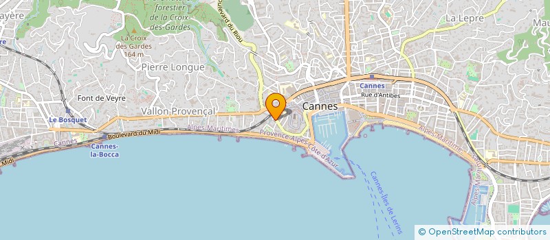 localisation de l'entreprise MADAME SERENA SANTINI  VALLAURIS