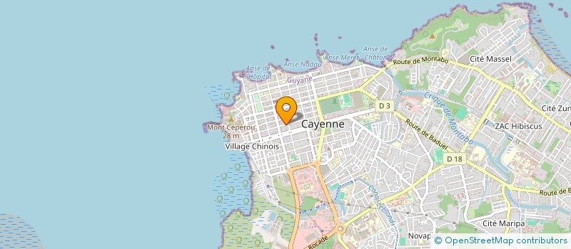 localisation de l'entreprise MADAME SERGINE LEVEILLE  CAYENNE