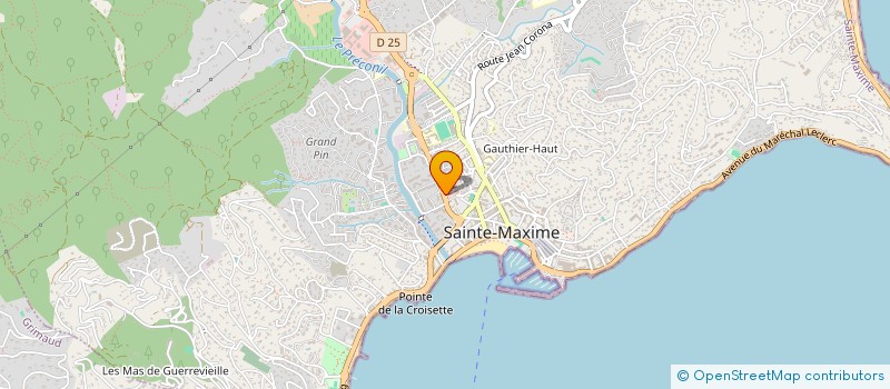 localisation de l'entreprise MADAME SERVANE DAILLOUX à SAINTE-MAXIME