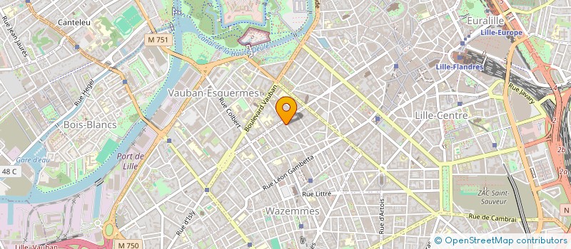 localisation de l'entreprise MADAME SERVANE DE BESOMBES à LILLE