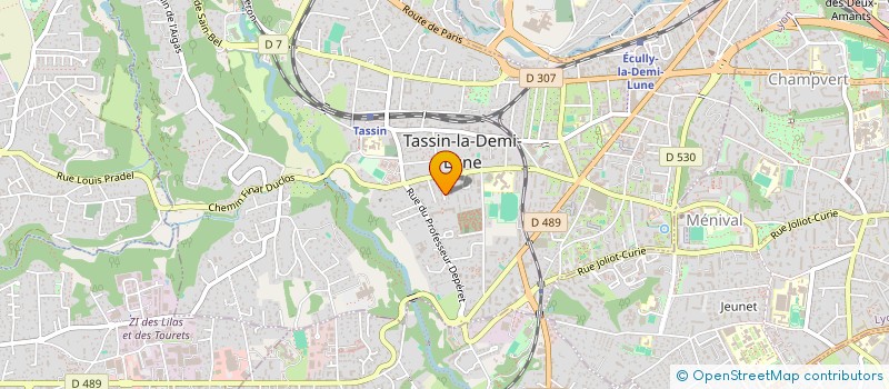 localisation de l'entreprise MADAME SERVANE DE TOURTIER à TASSIN-LA-DEMI-LUNE