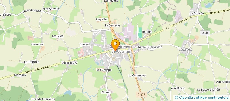 localisation de l'entreprise MADAME SESILINA CARITEY  SAINT-JEAN-SUR-REYSSOUZE