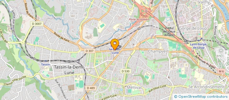 localisation de l'entreprise MADAME SEVERINE BEYRON à TASSIN-LA-DEMI-LUNE