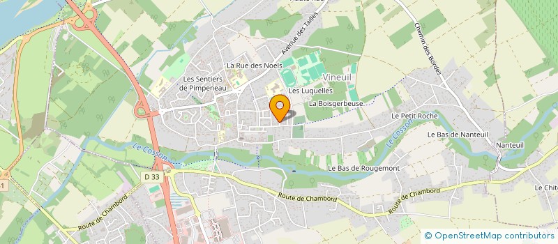 localisation de l'entreprise MADAME SEVERINE BISSON  VINEUIL