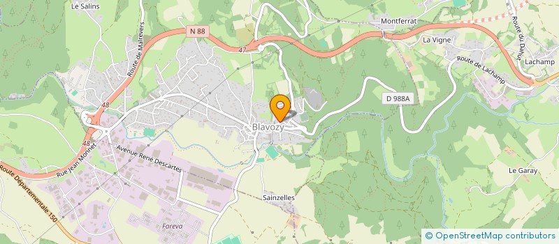 localisation de l'entreprise MADAME SEVERINE BLACHON  BLAVOZY