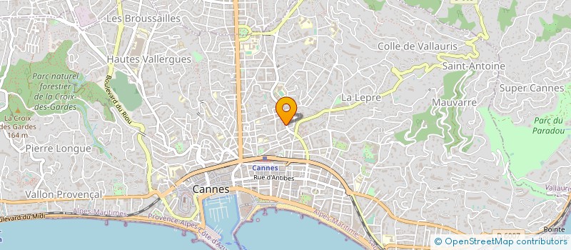 localisation de l'entreprise MADAME SEVERINE BODINEAU à CANNES