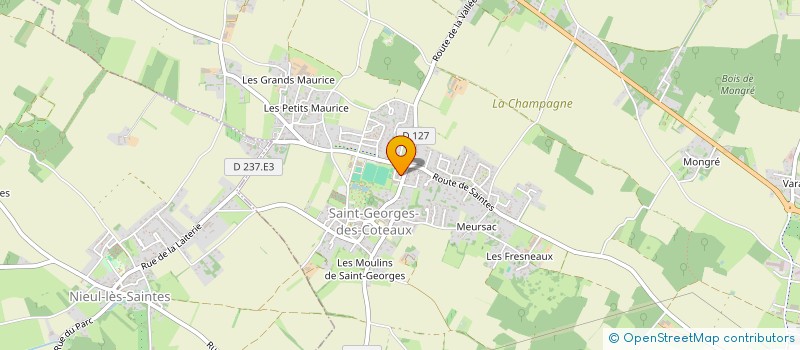 localisation de l'entreprise MADAME SEVERINE BRIQUET  SAINT-GEORGES-DES-COTEAUX