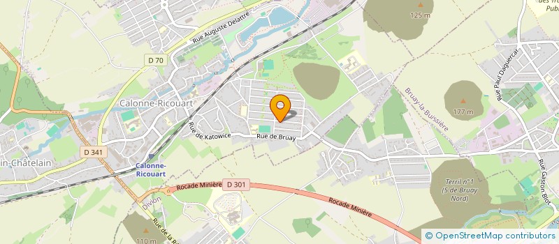 localisation de l'entreprise MADAME SEVERINE BROWN  CALONNE-RICOUART