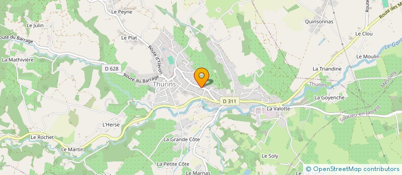 localisation de l'entreprise MADAME SEVERINE COSTA  THURINS