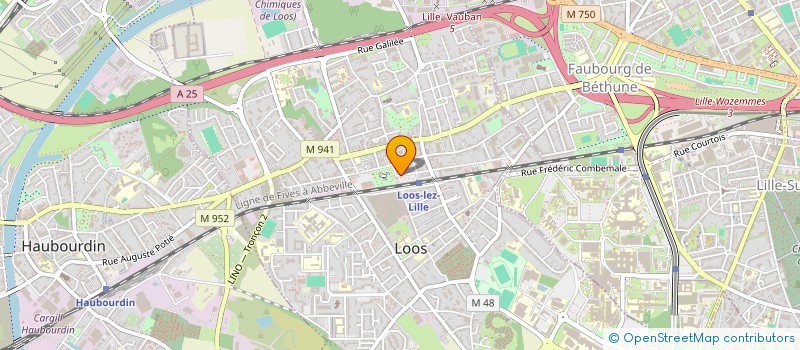 localisation de l'entreprise MADAME SEVERINE DEJONGHE  LOOS