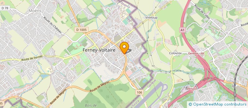 localisation de l'entreprise MADAME SEVERINE DUBOIS à FERNEY-VOLTAIRE