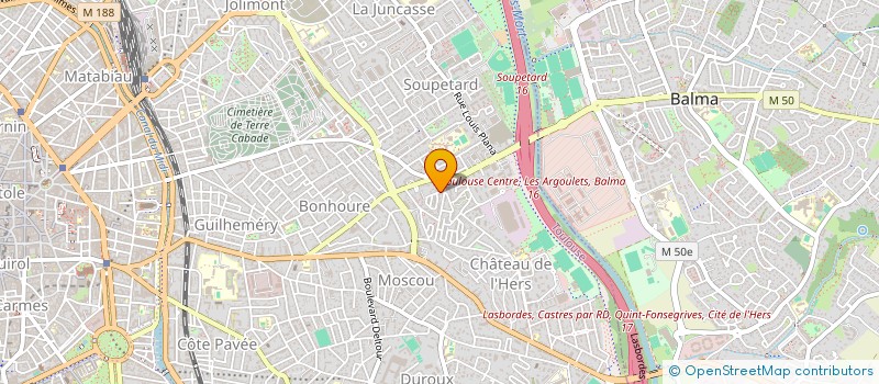 localisation de l'entreprise MADAME SEVERINE HENRY à TOULOUSE