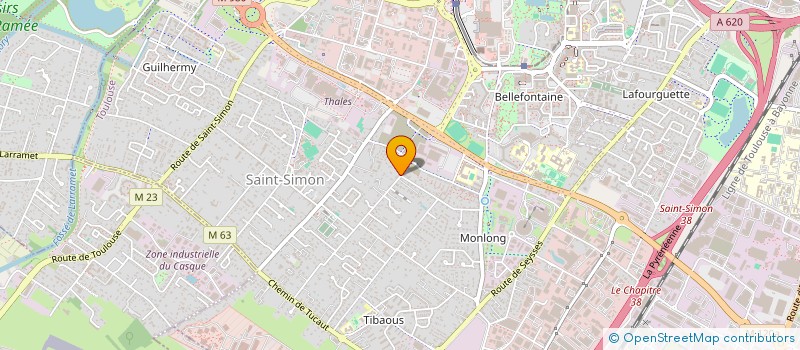 localisation de l'entreprise MADAME SEVERINE LEMESLE  TOULOUSE