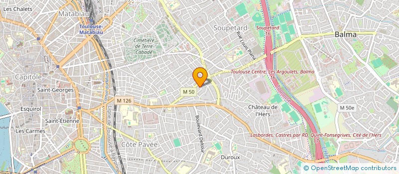 localisation de l'entreprise MADAME SEVERINE LEONARD à TOULOUSE
