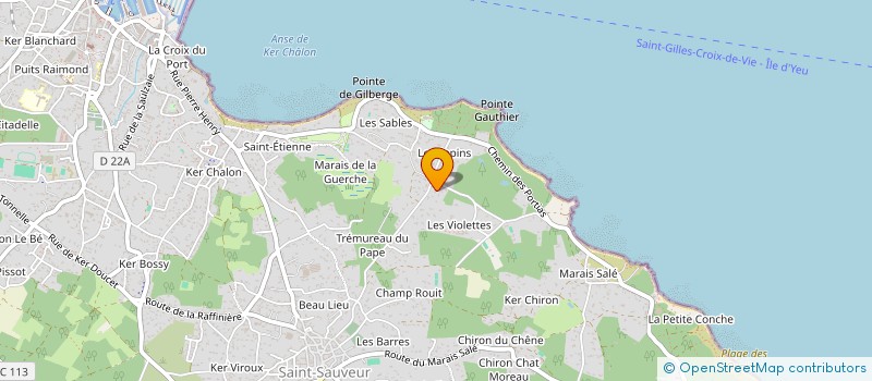 localisation de l'entreprise MADAME SEVERINE ODEON  L'ILE-D'YEU