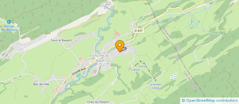 localisation de l'entreprise MADAME SEVERINE PICARD  FONCINE-LE-HAUT