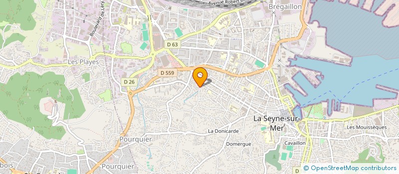 localisation de l'entreprise MADAME SEVERINE PILLININI  LA SEYNE-SUR-MER