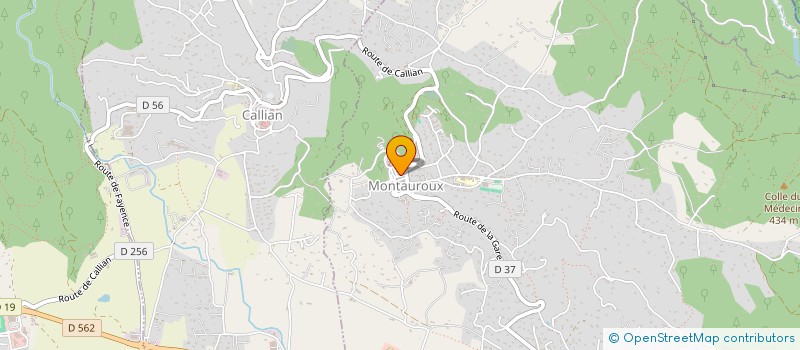 localisation de l'entreprise MADAME SEVERINE QUAGLIA à MONTAUROUX