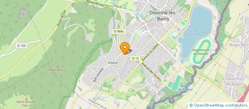 localisation de l'entreprise MADAME SEVERINE SALVI  DIVONNE-LES-BAINS