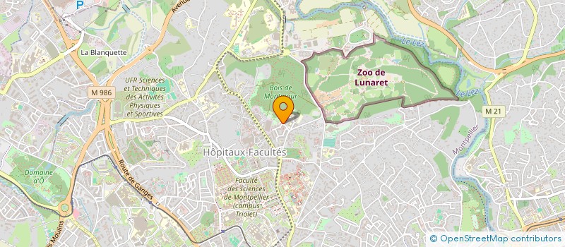 localisation de l'entreprise MADAME SEVERINE THOMANN à MONTPELLIER