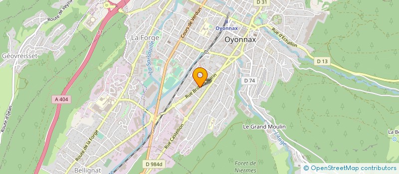 localisation de l'entreprise MADAME SEVILAY ERDOGAN à OYONNAX