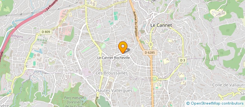 localisation de l'entreprise MADAME SEWSEN BEN NEJMA à LE CANNET