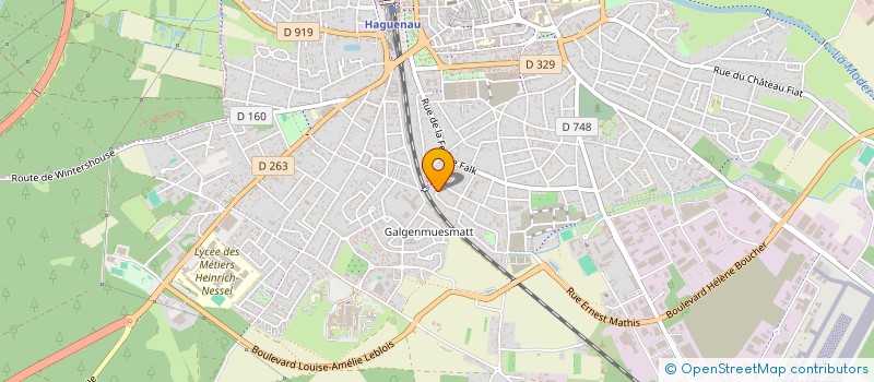 localisation de l'entreprise MADAME SEYDA LEKESIZ  HAGUENAU